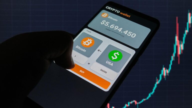 How Crypto Wallet Verification Is Reshaping Online Payments