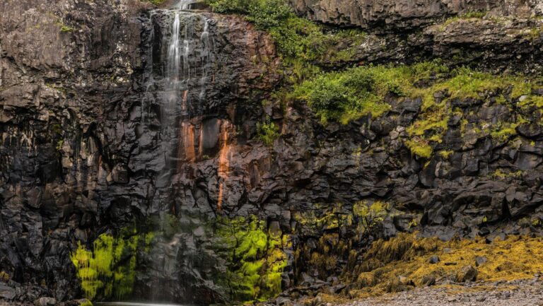 Discover the Hidden Waterfalls of the Fundy Coast in Nova Scotia Day Adventure